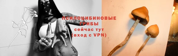 бутират Баксан