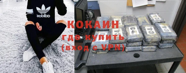 ГАЛЛЮЦИНОГЕННЫЕ ГРИБЫ Арсеньев